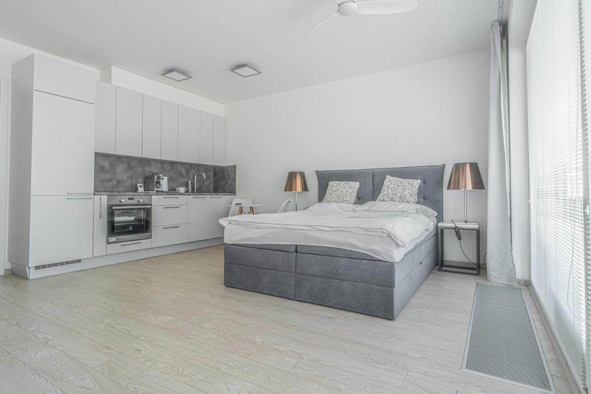 Apartment Karel With Garage Parking Прага Екстер'єр фото